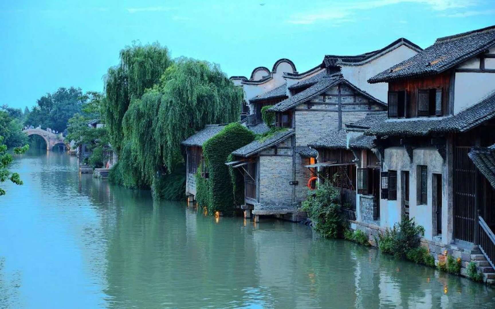 僵尸猎人赏金大赛